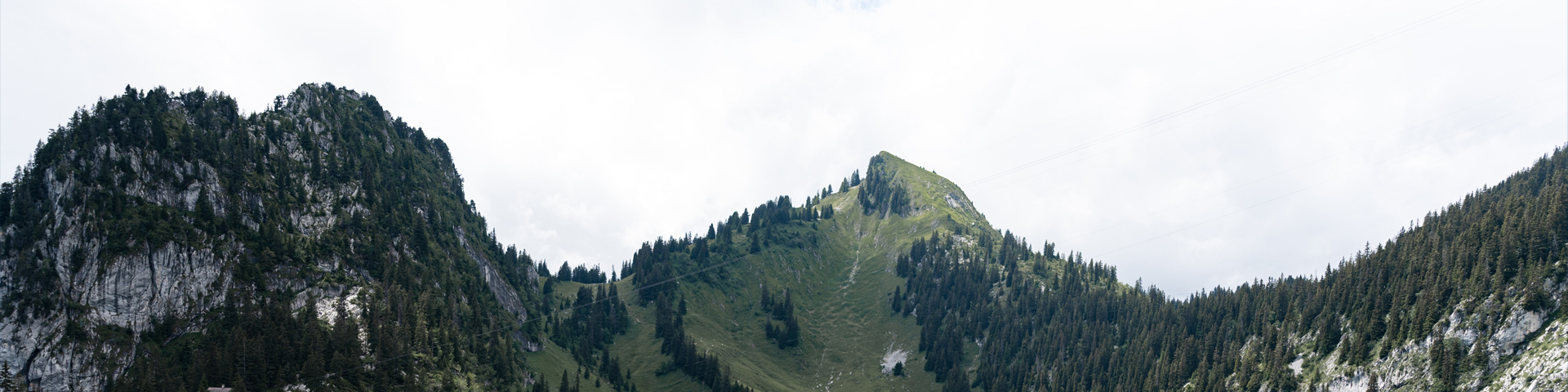 北京易杨国际旅行社有限公司驻马店营业网点