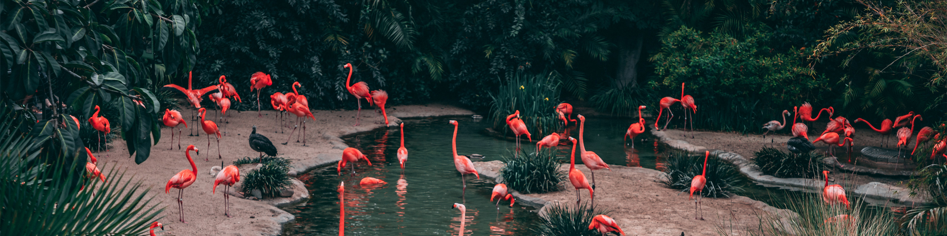 北京易杨国际旅行社有限公司驻马店营业网点